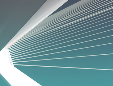 Portfolio 5